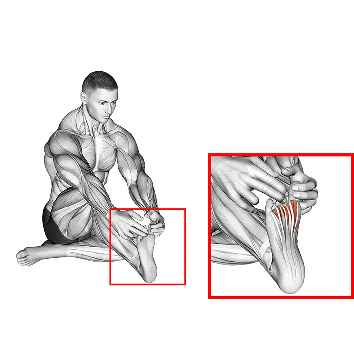Separation Between Fingers Stretch exercise animation (Male)