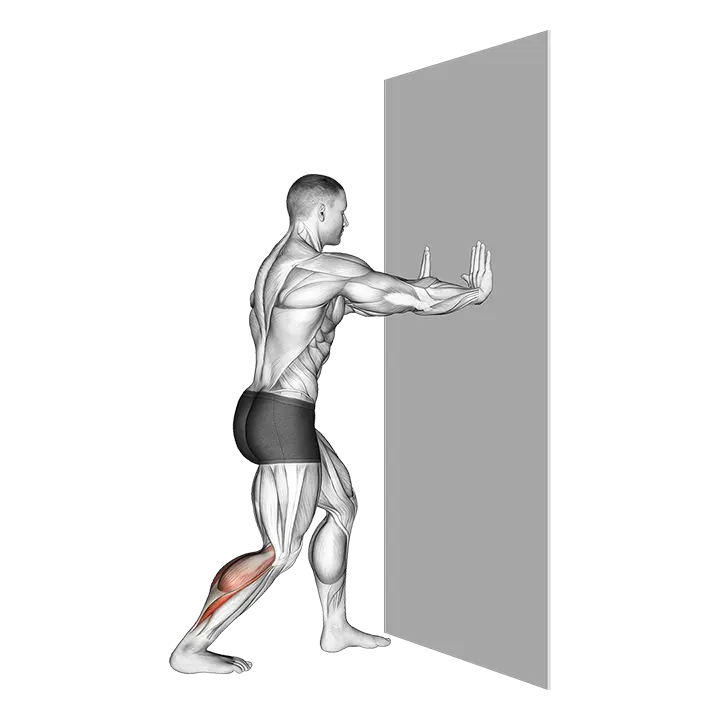 Leaning Heel Back Achilles Stretch exercise animation (Male)