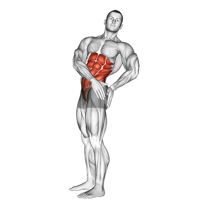 Standing Abs Rotation Stretch exercise animation (Male)