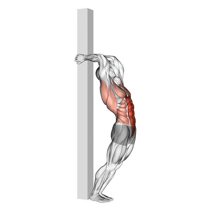 Hip Extension Supported From Back exercise animation (Male)