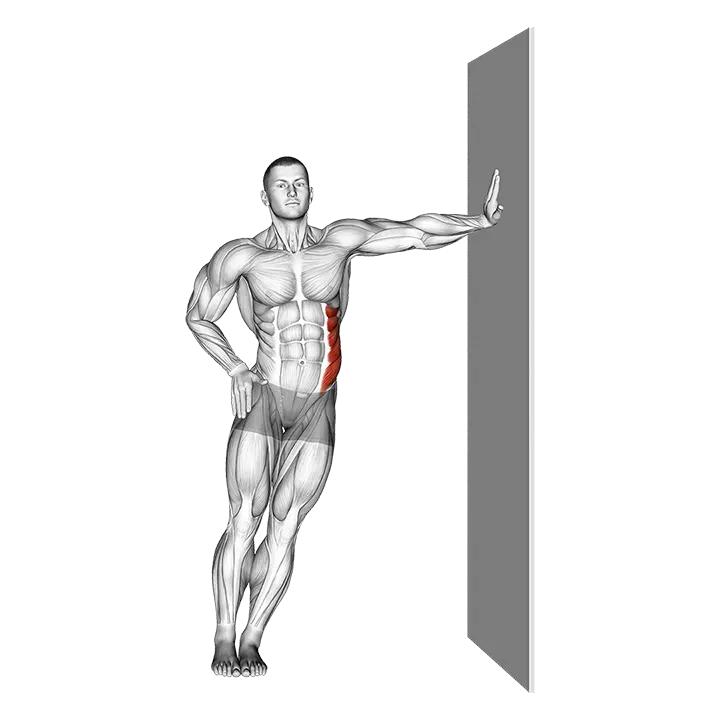Standing Lower Trunk Lateral Flexor Stretch exercise animation (Male)
