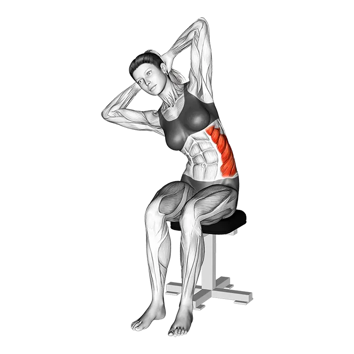 Seated Lower Trunk Lateral Flexor Stretch exercise animation (Female)