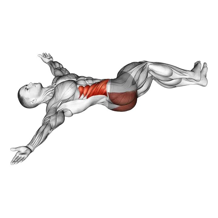 Lying Knee Roll Over Stretch exercise animation (Male)