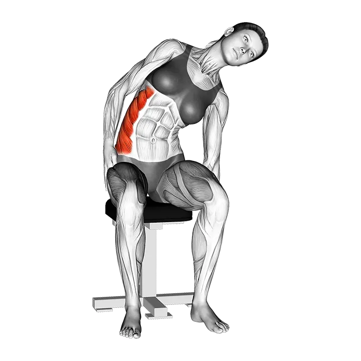 Sitting Lateral Side Stretch exercise animation (Female)