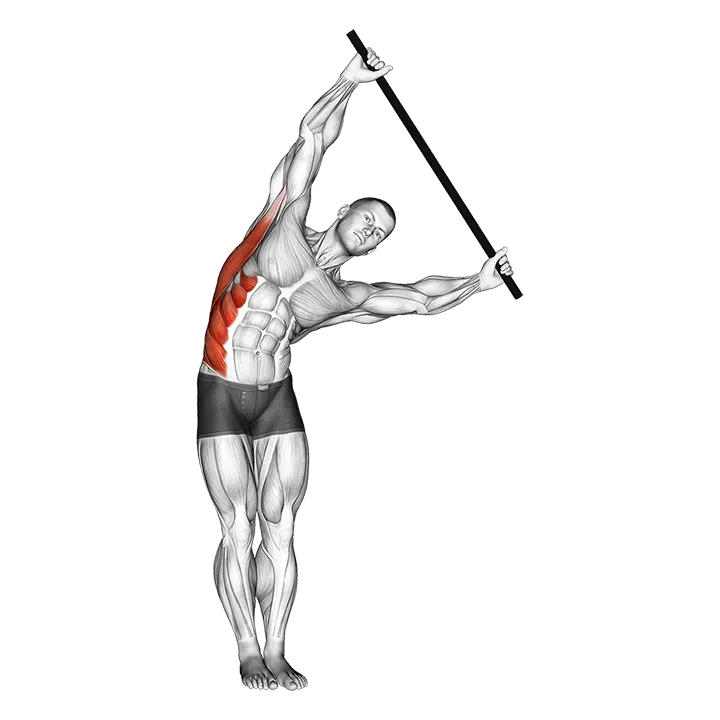 Standing Side Stretch With Stick exercise animation (Male)