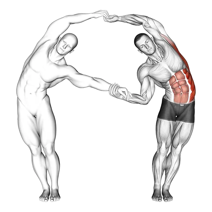 Assisted Side Bent exercise animation (Male)