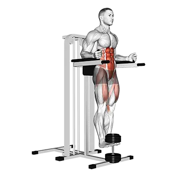 Weighted Captains Chair Leg Raise