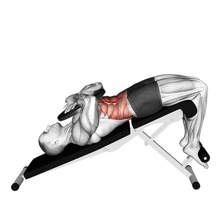 Weighted Decline Crunch exercise animation (Male)