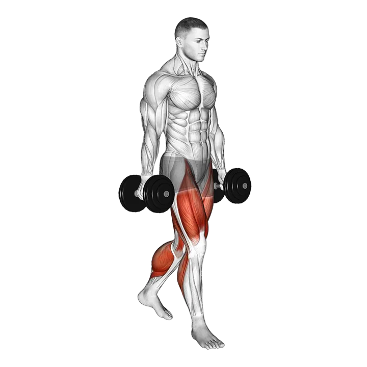 Farmers walk exercise animation (Male)