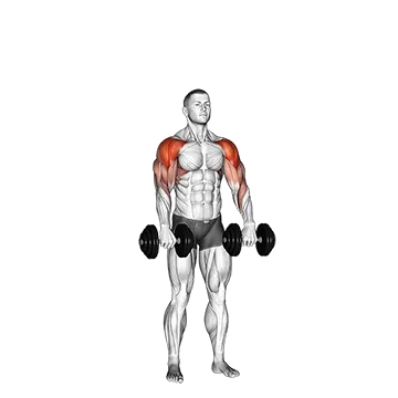 Dumbbell Cuban Press (version 2)