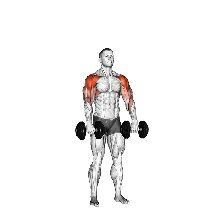 Dumbbell Cuban Press (version 2) exercise animation (Male)
