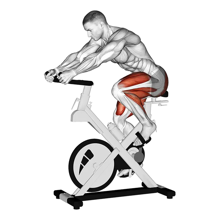 Stationary Bike Run (version 3) exercise animation (Male)