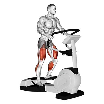 Walk Wave Machine