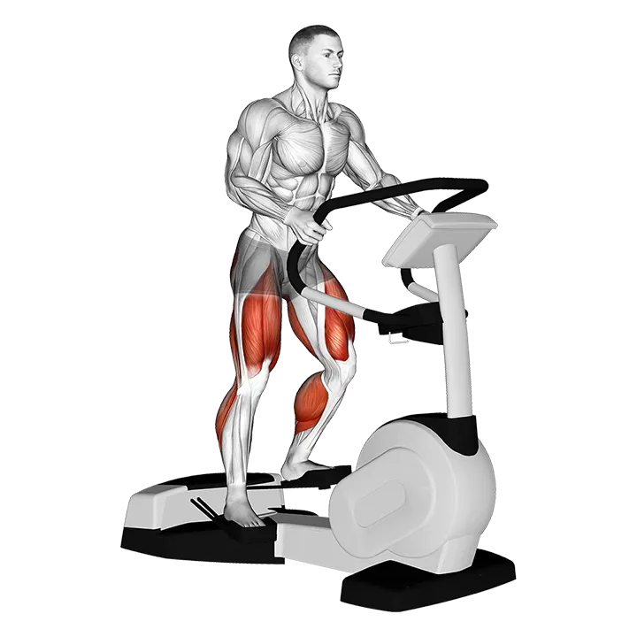 Walk Wave Machine exercise animation (Male)