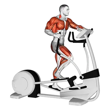 Walk Elliptical Cross Trainer