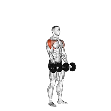 Dumbbell Standing Around World