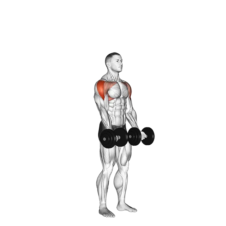 Dumbbell Standing Around World exercise animation (Male)
