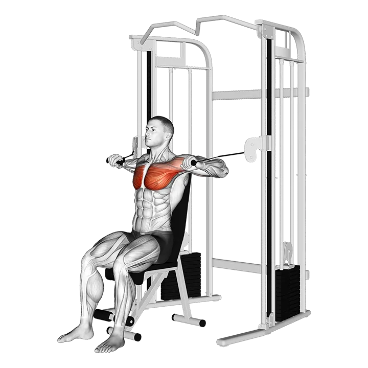 Cable Seated Chest Press exercise animation (Male)