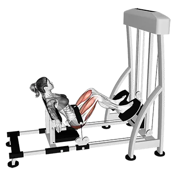 Lever Hip Thrust