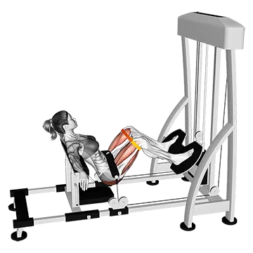 Lever Hip Thrust With Resistance Band