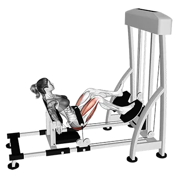 Lever Single Leg Hip Thrust