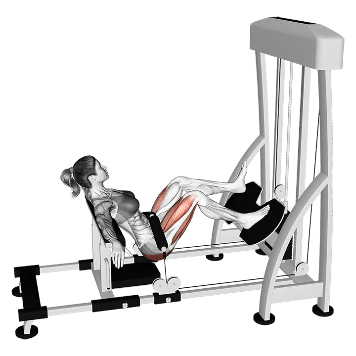 Lever Single Leg Hip Thrust exercise animation (Female)