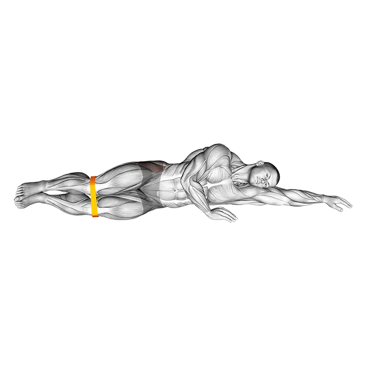 Resistance Band Clam exercise animation (Male)