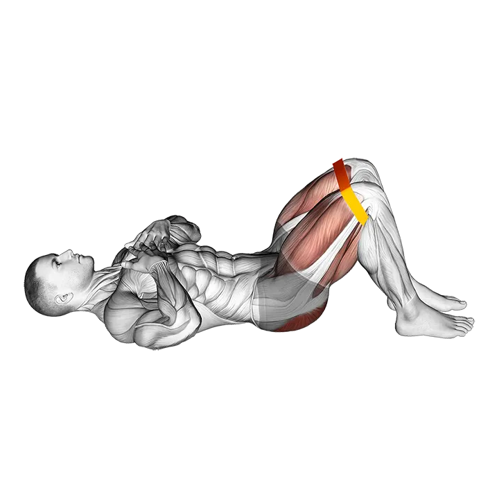 Resistance Band Glute Bridge exercise animation (Male)