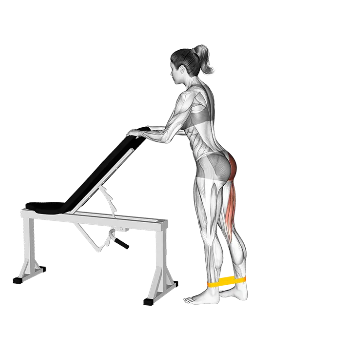 Resistance Band One Leg Kickback exercise animation (Female)