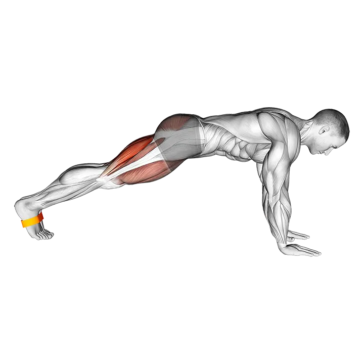 Resistance Band Plank March exercise animation (Hombre)
