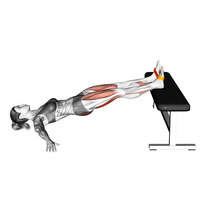 Resistance Band Supine Hip Bridge March exercise animation (Weiblich)