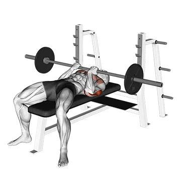 Barbell Reverse Close-grip Bench Press
