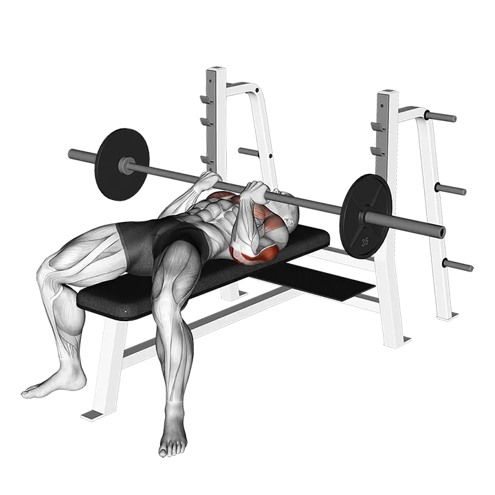 Barbell Reverse Close-grip Bench Press exercise animation (Male)