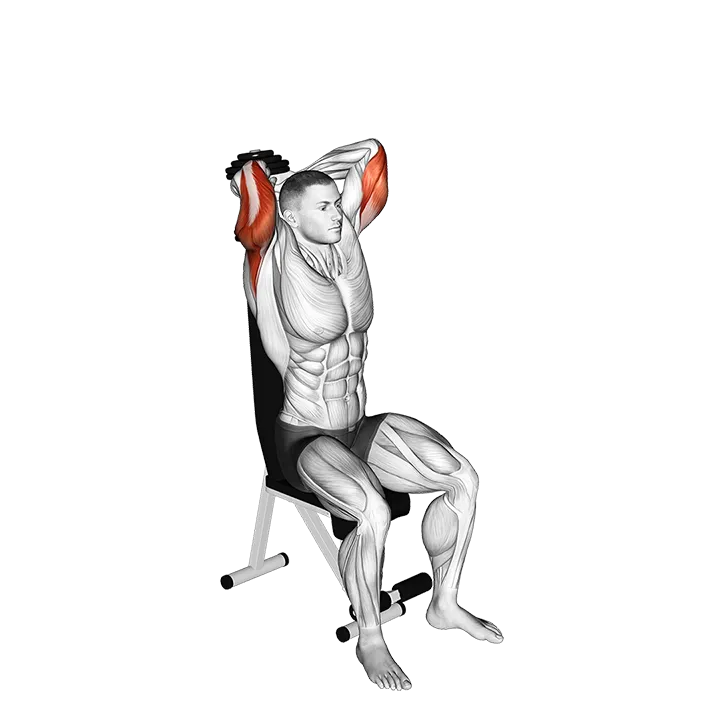 Dumbbell Seated Triceps Extension exercise animation (Male)