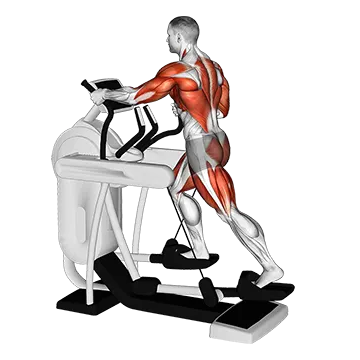 Elliptical Machine Walk