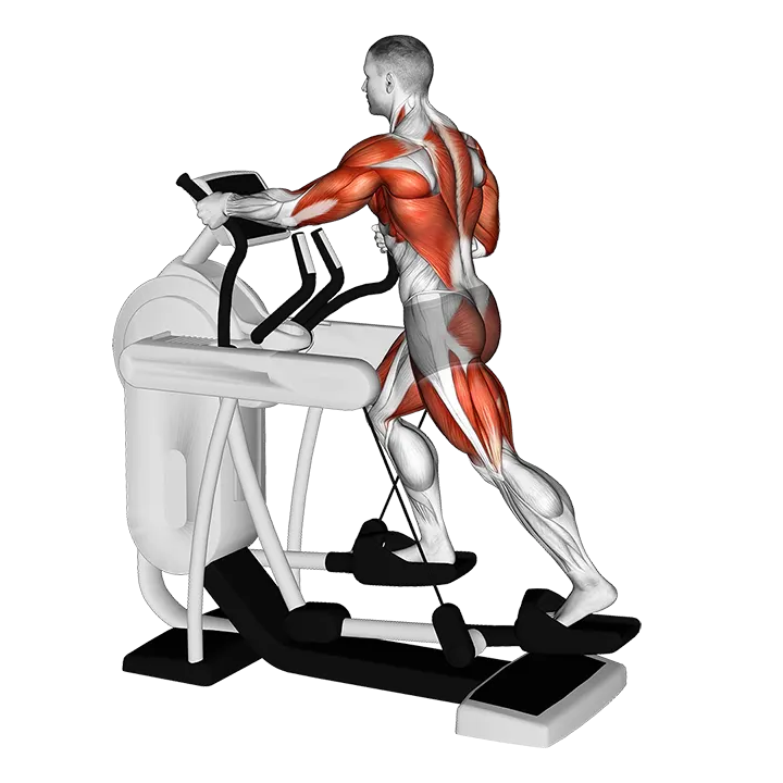 Elliptical Machine Walk exercise animation (Male)