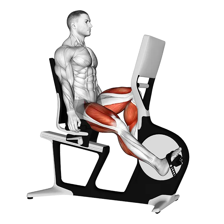 Bicycle Recline Walk exercise animation (Male)
