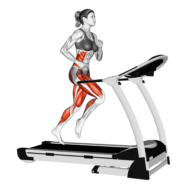 Run on Treadmill exercise animation (Female)