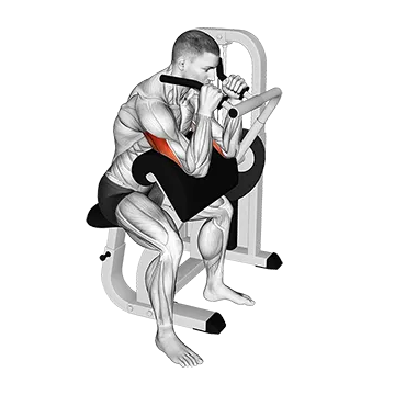 Lever Triceps Extension (VERSION 2)