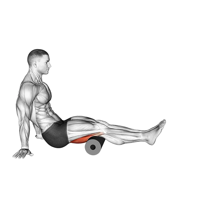 Roll Hamstrings Sitting on Floor exercise animation (Male)