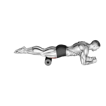 Roll Rectus Femoris
