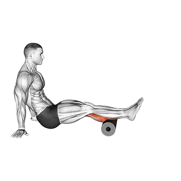 Roll Calves