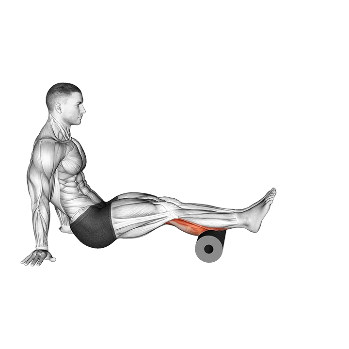 Roll Calves exercise animation (Male)