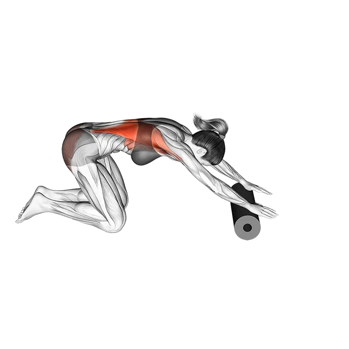 Roll Back Stretch exercise animation (Female)