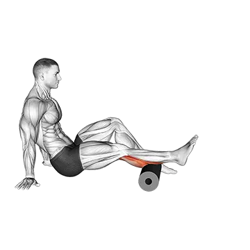 Roll Calves (Single Leg)