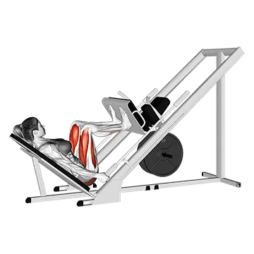 Sled 45 degrees Leg Press