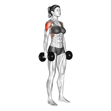 Dumbbell Standing Lateral Raise