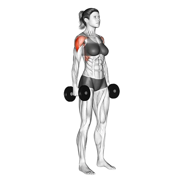 Dumbbell Standing Lateral Raise exercise animation (Female)