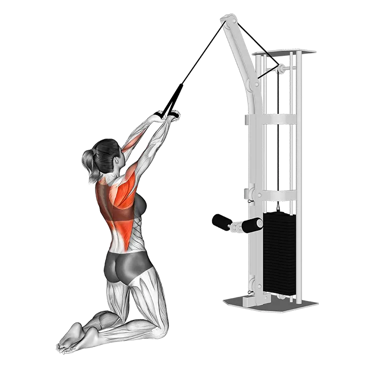 Cable High Row (kneeling rope attachment) exercise animation (Female)
