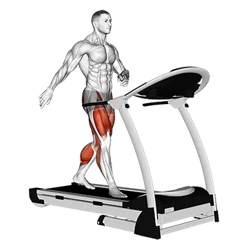 Walking on Treadmill